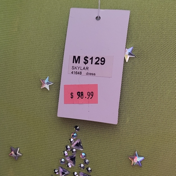 Banjul medium dress mesh NWT - Picture 3 of 4